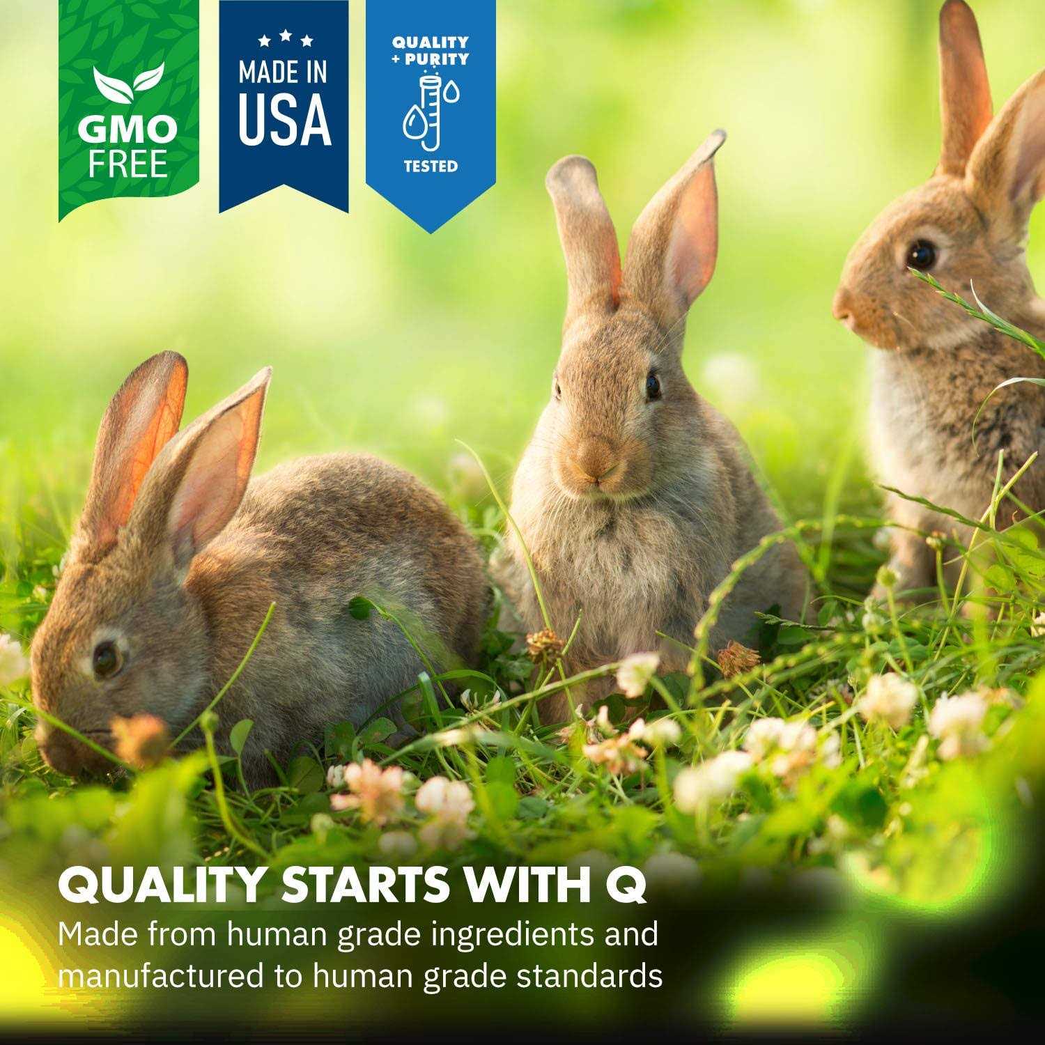Equa Holistics HealthyGut Probiotics Rabbit Supplement - Healthber