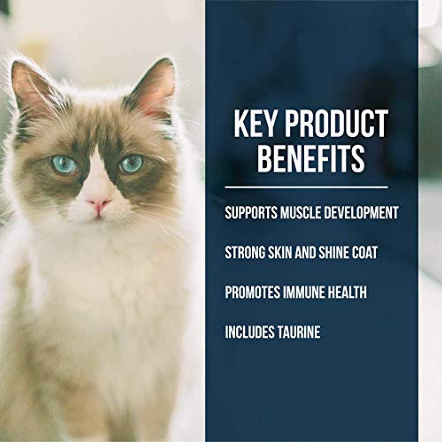 Fussie Cat Dry Cat Food Market Fresh Salmon - Healthber