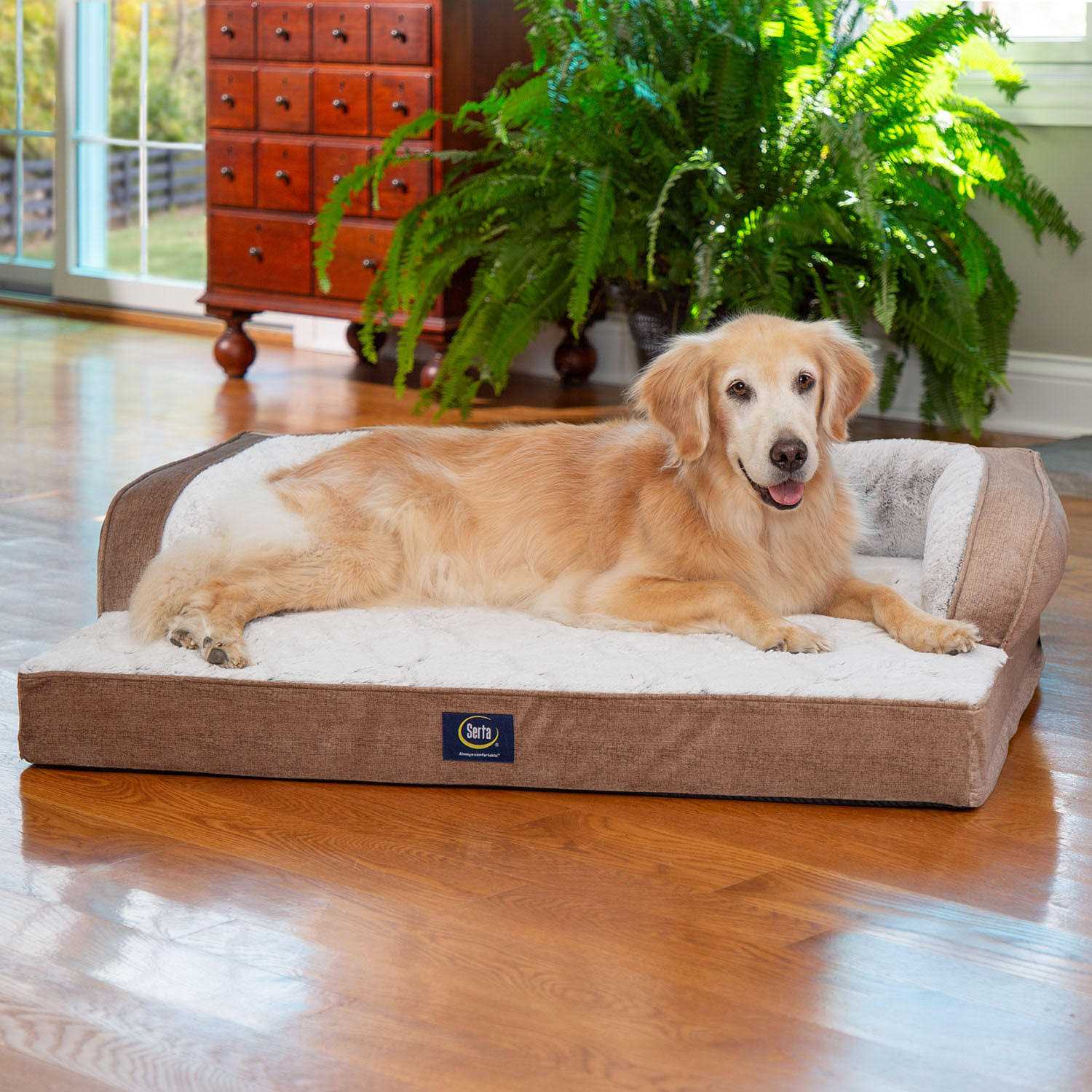 Serta XL Luxury Sleeper Sofa Pet Bed - Healthber