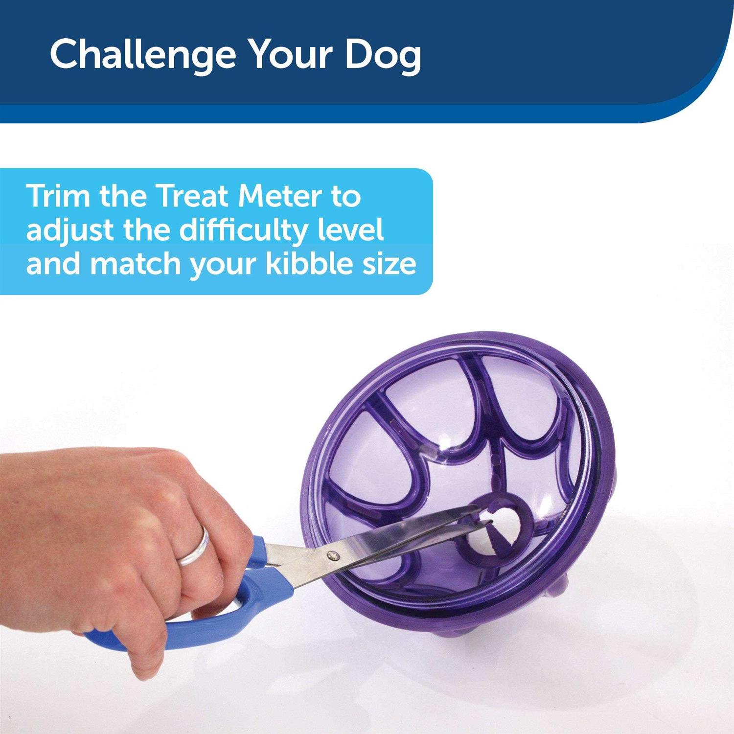 Busy Buddy Kibble Nibble Dog Toy - Healthber