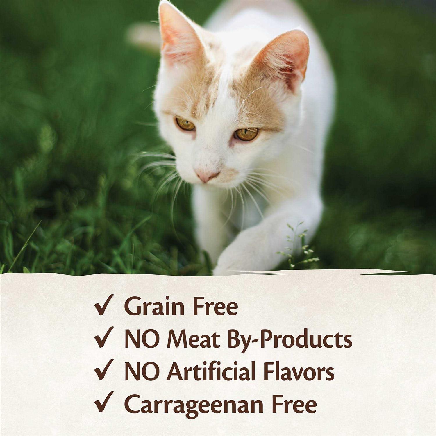 Wellness Core 95% Cat Food - Healthber