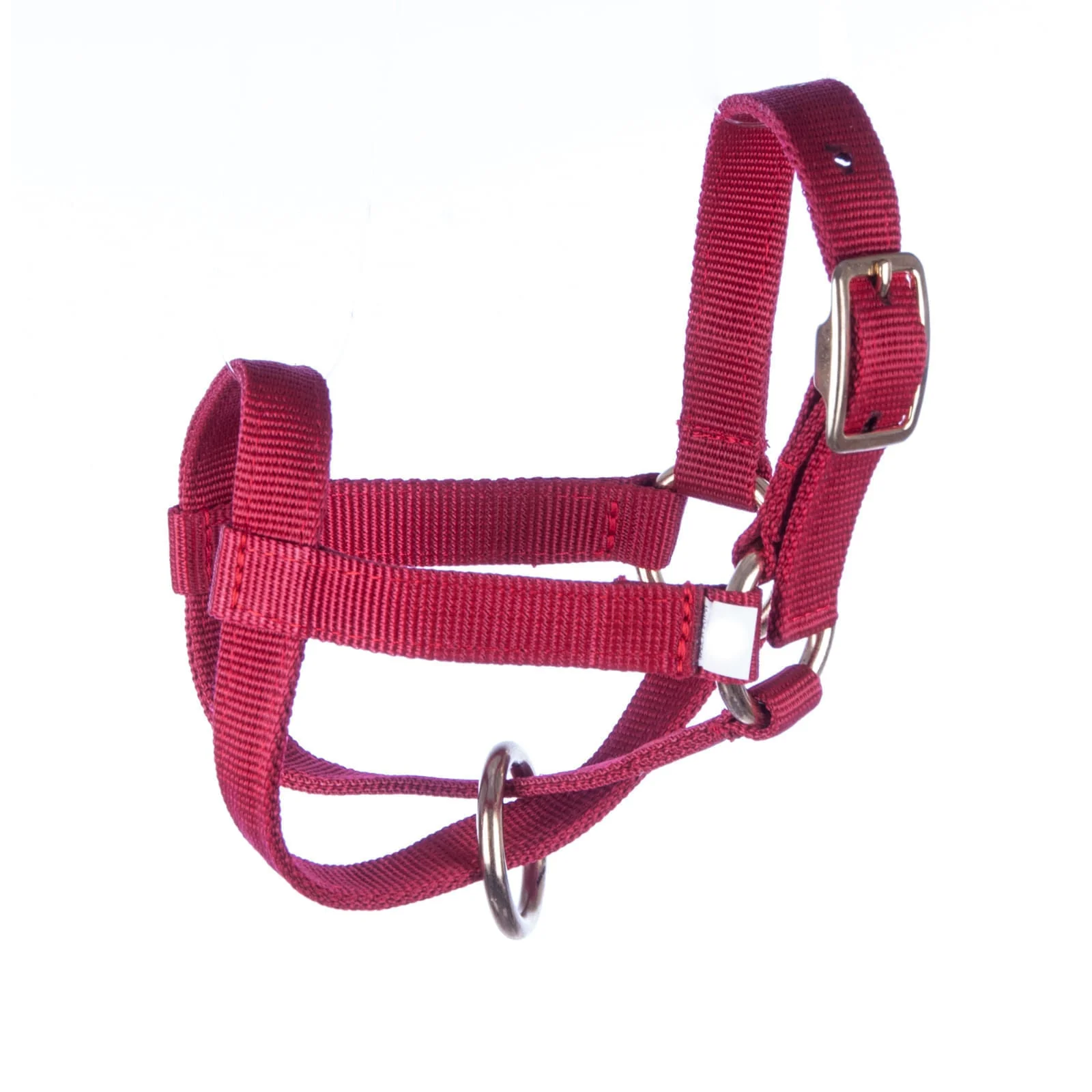Goat Halter - Healthber