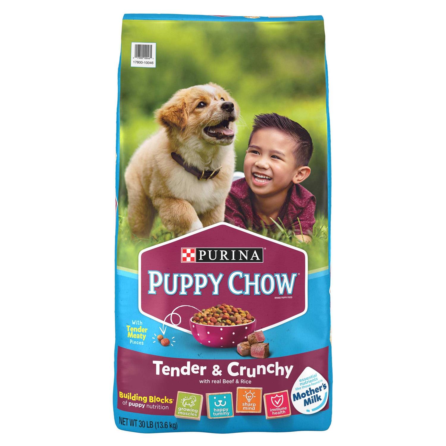 Purina Puppy Chow Tender Crunchy Real Beef Dry Puppy Food - Healthber
