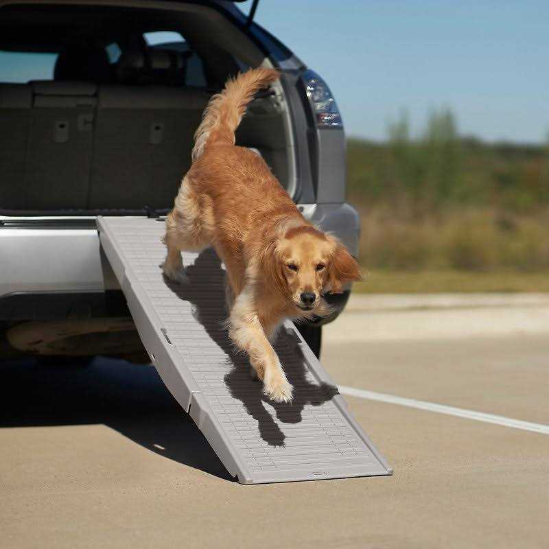 Frisco Tri-Fold Travel Dog Car Ramp - Healthber