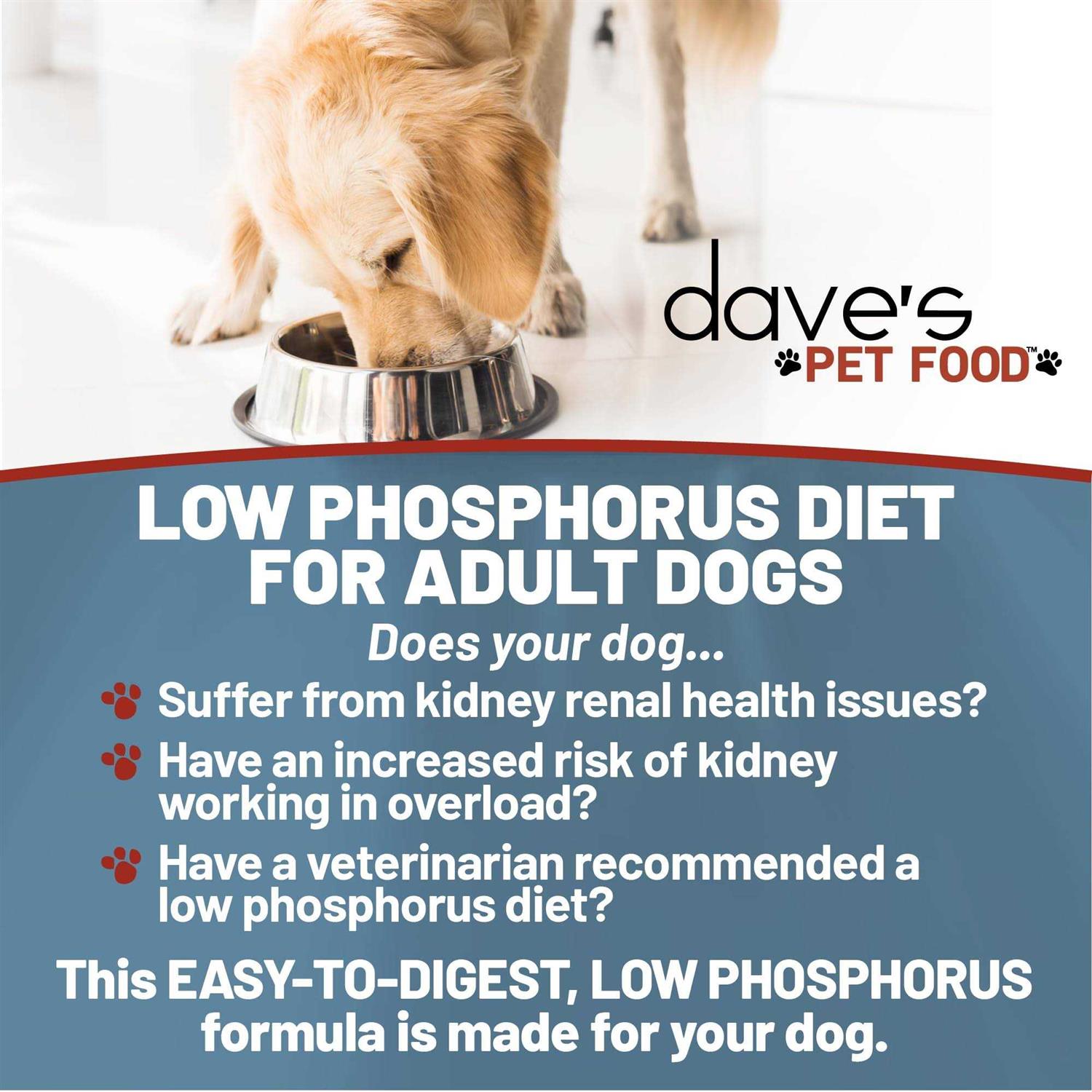 Dave’s Pet Food Kidney Support with Renal Support Chicken Formula Crumble Non-Prescription Low Phosphorus Restricted Diet Dog Food - Healthber