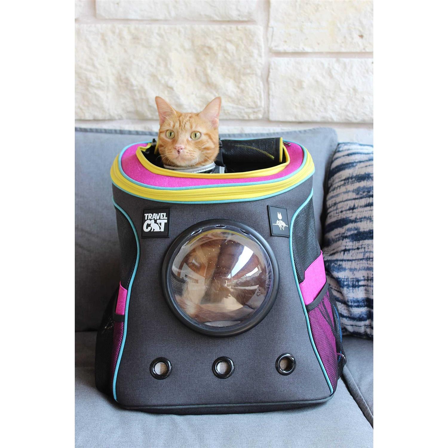 Cat Backpack Stray x Travel - Healthber