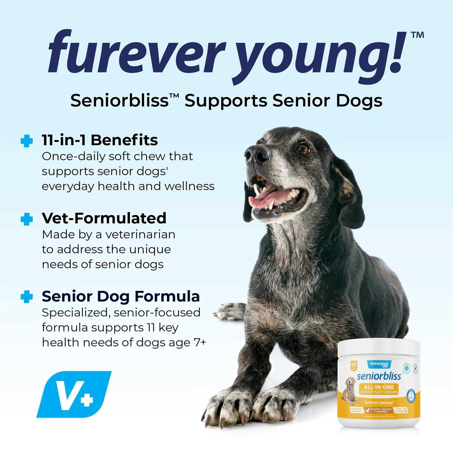Seniorbliss Supplement for Senior Dogs - Healthber