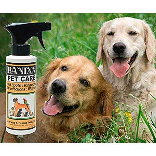 Banixx Pet Care - Healthber