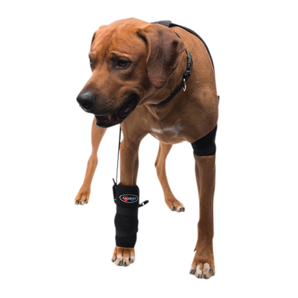 Caldera Pet Therapy Carpal Wrap with Therapy Gel, Large - Healthber