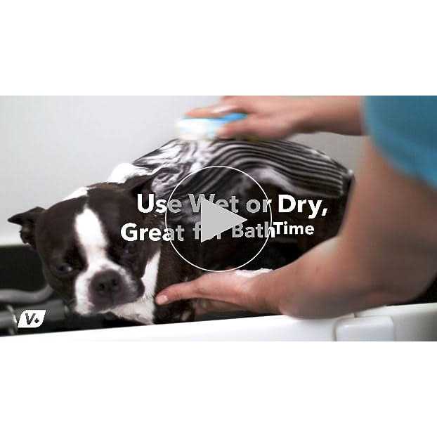 Furbliss Hygienic Pet Wipes for Dogs & Cats - Healthber