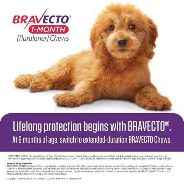 Bravecto 1-Month Chews for Dogs 22-44 lbs - Healthber