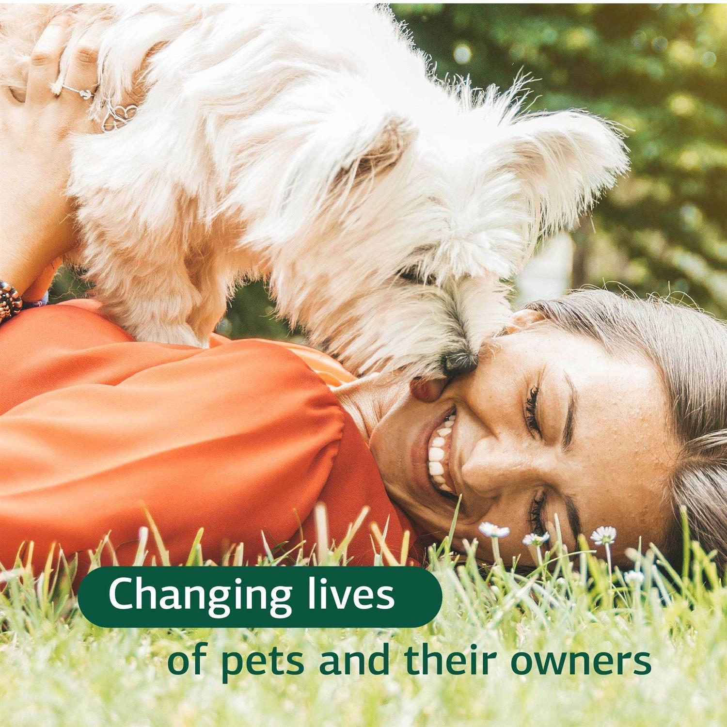 Canine Dermal Support Standard Process - Healthber