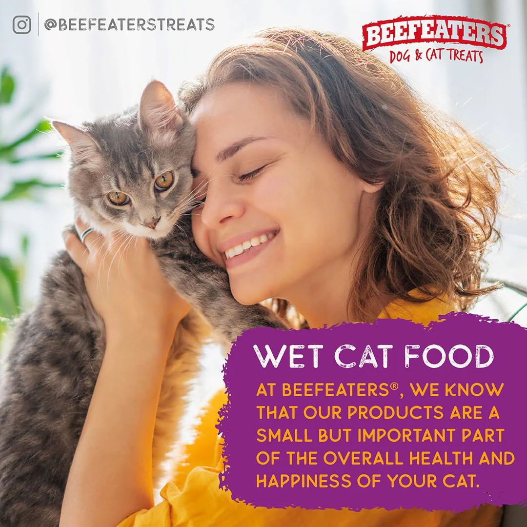 Beefeaters Pate Wet Cat Food, Case of 24 - Healthber