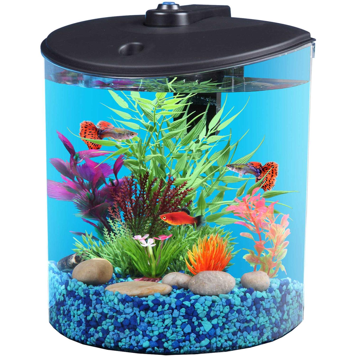 Koller Products AquaView 1.5-Gallon Fish Tank with LED Lighting and Power Filter - Healthber