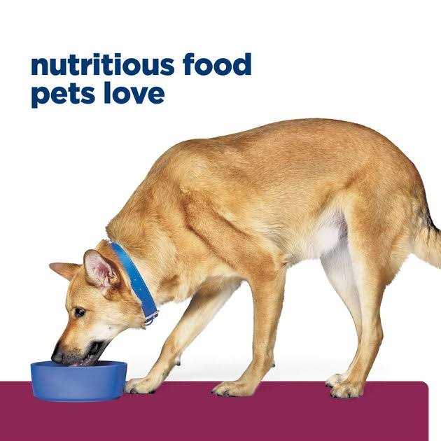 Hill’s Prescription Diet i/d Digestive Care Chicken & Vegetable Stew Canned Dog Food - Healthber