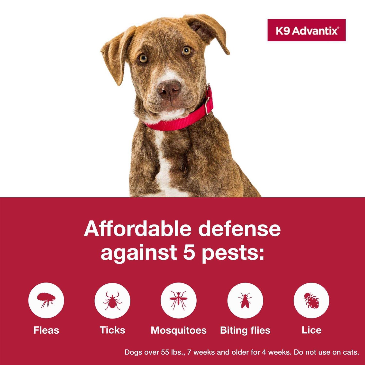 K9 Advantix Flea Tick Mosquito Prevention for Extra Large Dogs Over 55 Lbs - Healthber