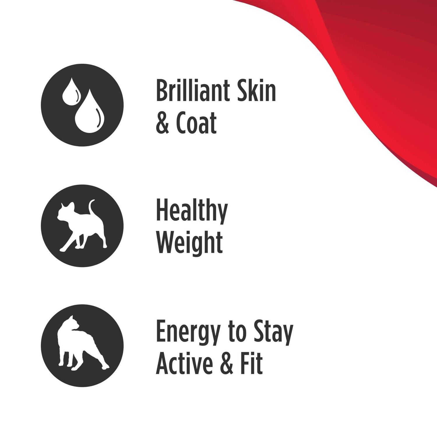 Nulo MedalSeries Grain-Free Salmon & Sweet Potato Adult Weight Management Dry Cat Food - Healthber