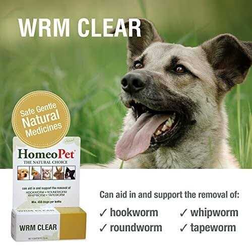 Homeopet Worm Clear - Healthber
