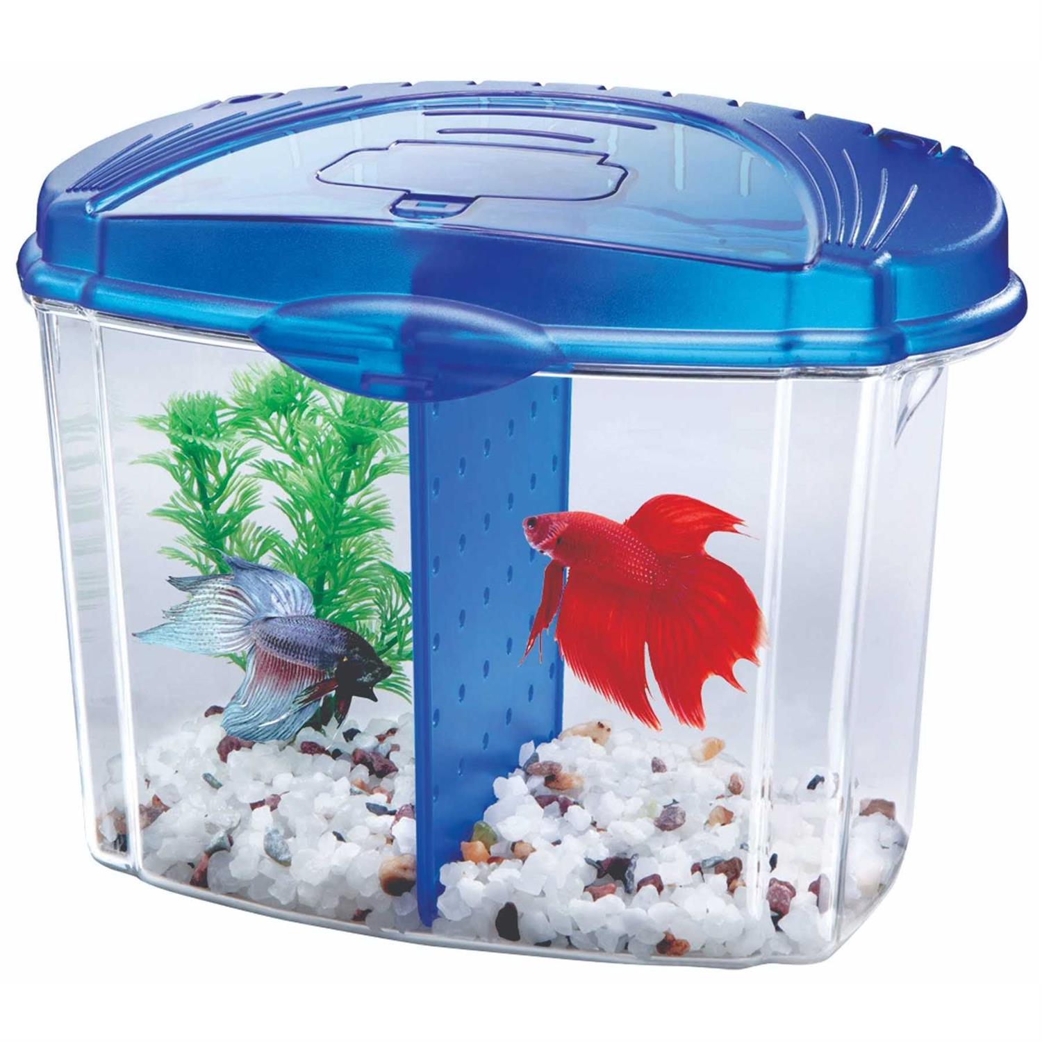 Aqueon Betta Bowl Kit - Healthber