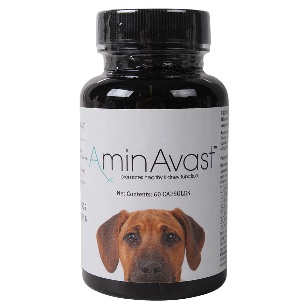 AminAvast Canine (formally called Renavast) - Healthber