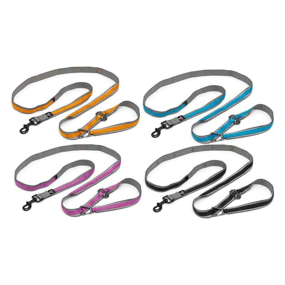Kurgo Quantum Dog Leash - Healthber