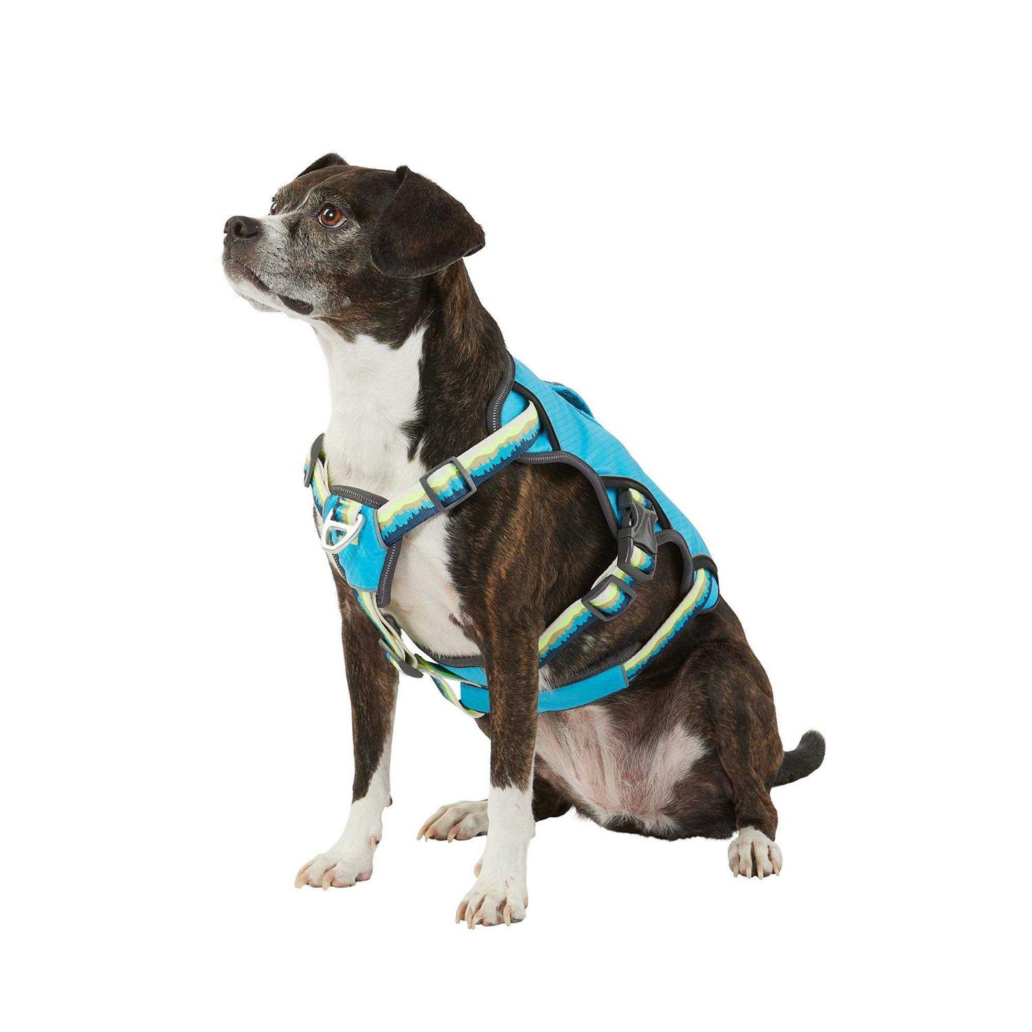 Arcadia Trail LED Ultimate Safety Dog Harness - Healthber