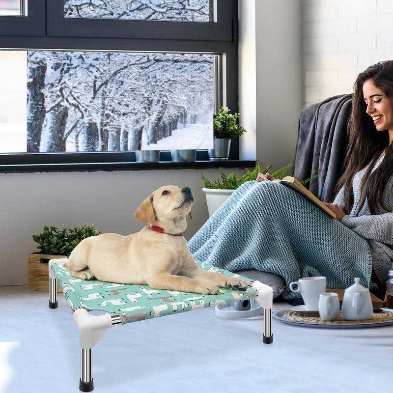 Modorki Elevated Dog Bed Pet cot for Small Dogs, Indoor and Outdoor Use for Small Pets - Healthber