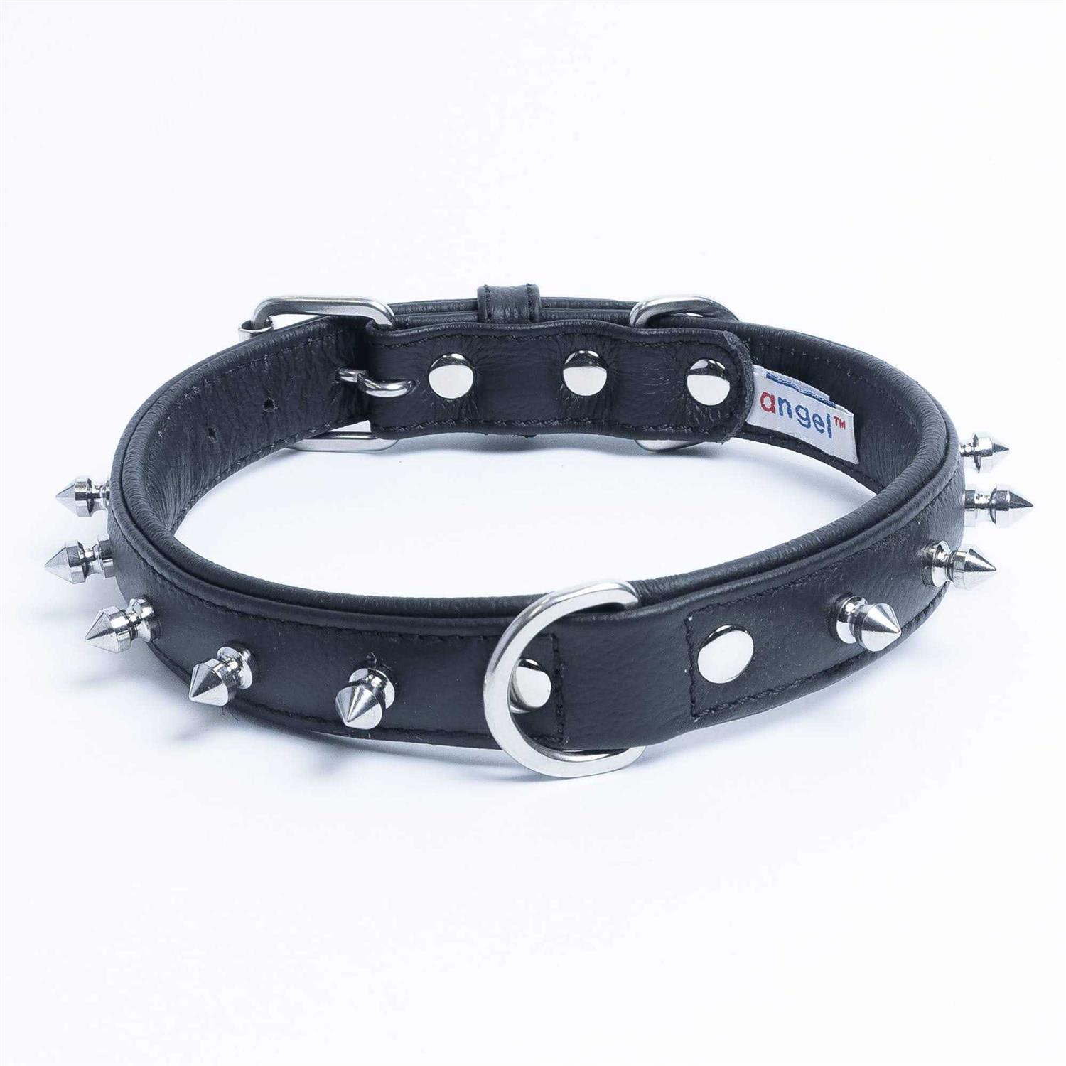 Rotterdam Dog Collar Spiked - Healthber