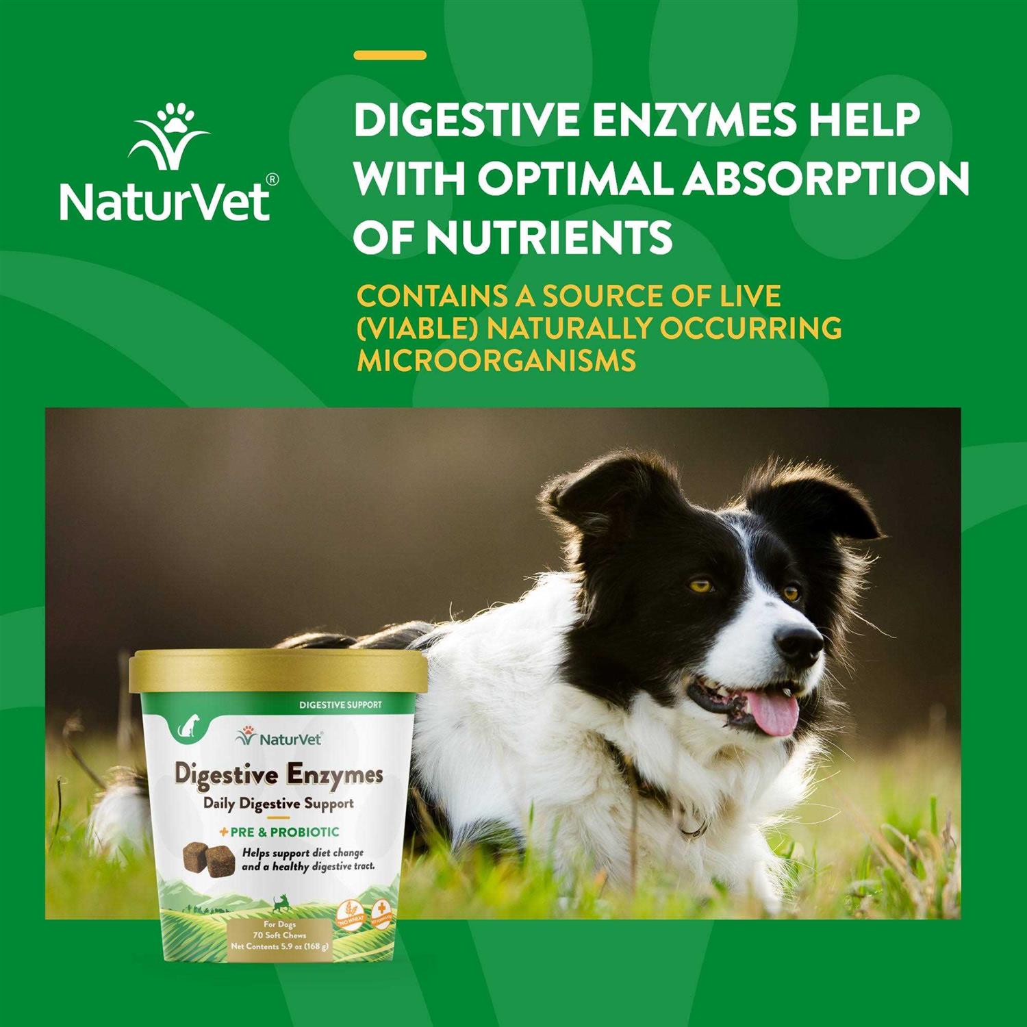 NaturVet Digestive Enzymes - Healthber