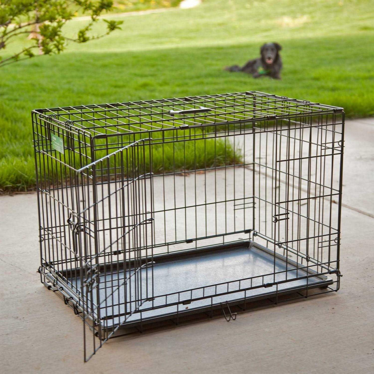 MidWest iCrate Double Door Fold Carry Dog Crate - Healthber