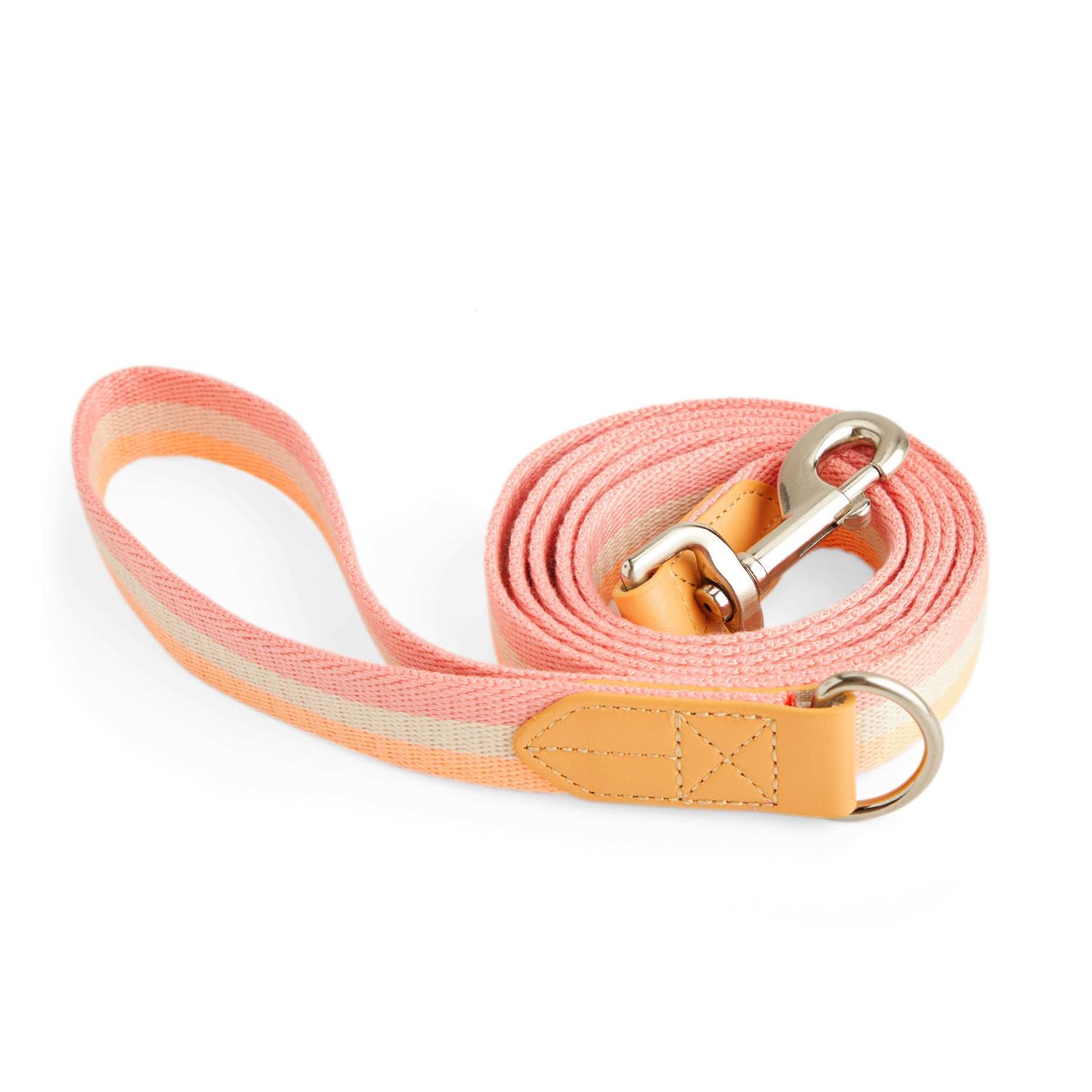 YOULY Creamsicle Dog Leash - Healthber