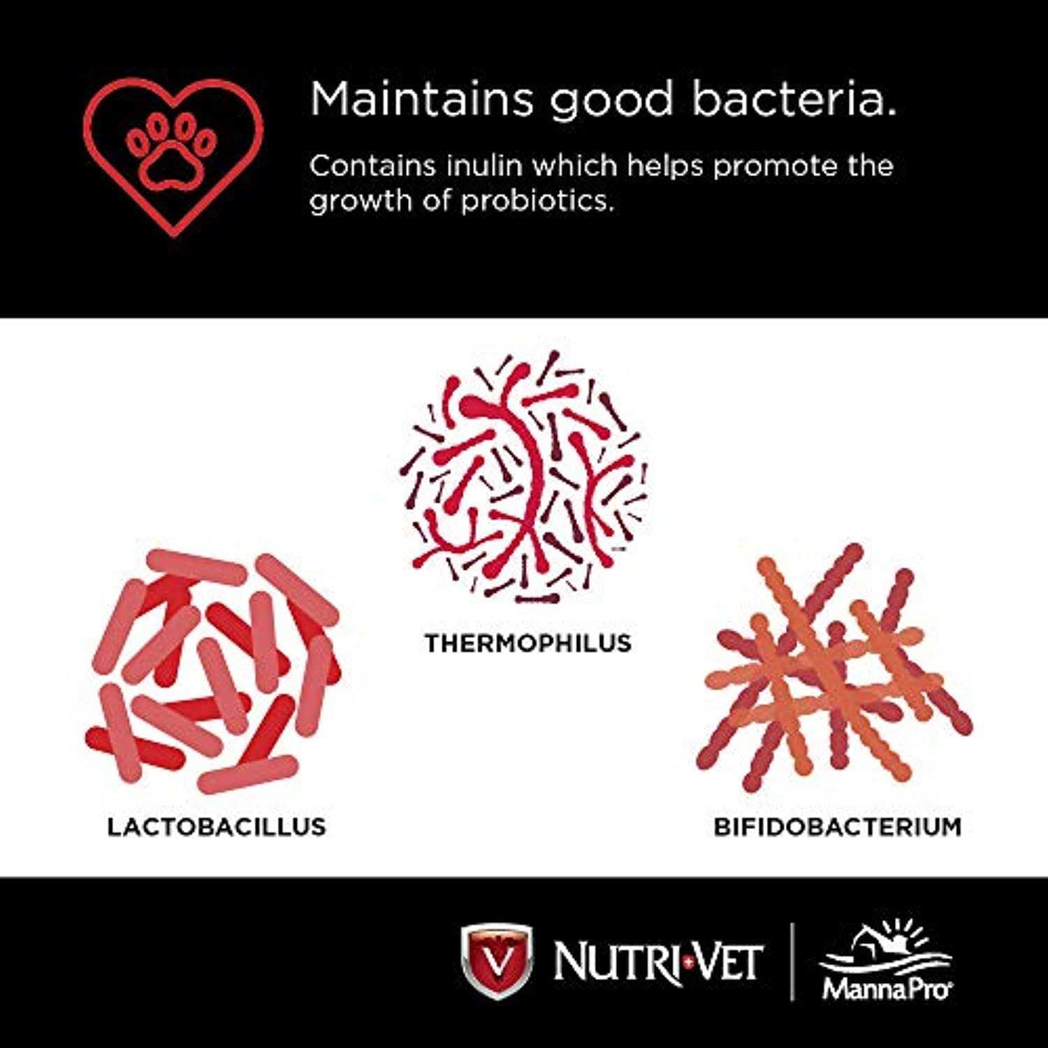 Nutri-Vet Probiotics for Dogs - Healthber