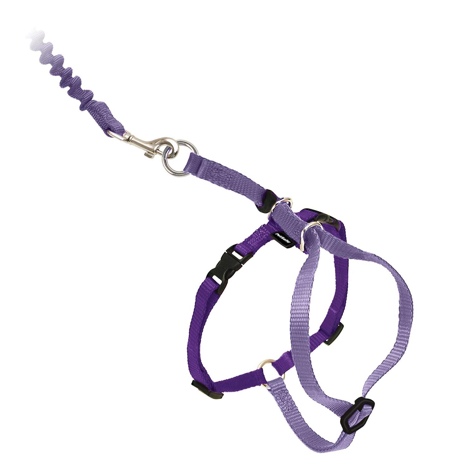 PetSafe Come with Me Kitty Harness Bungee Leash - Healthber