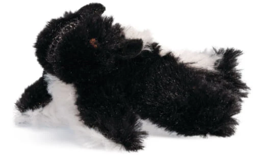Backyard Squeaky Cat Toys - Healthber