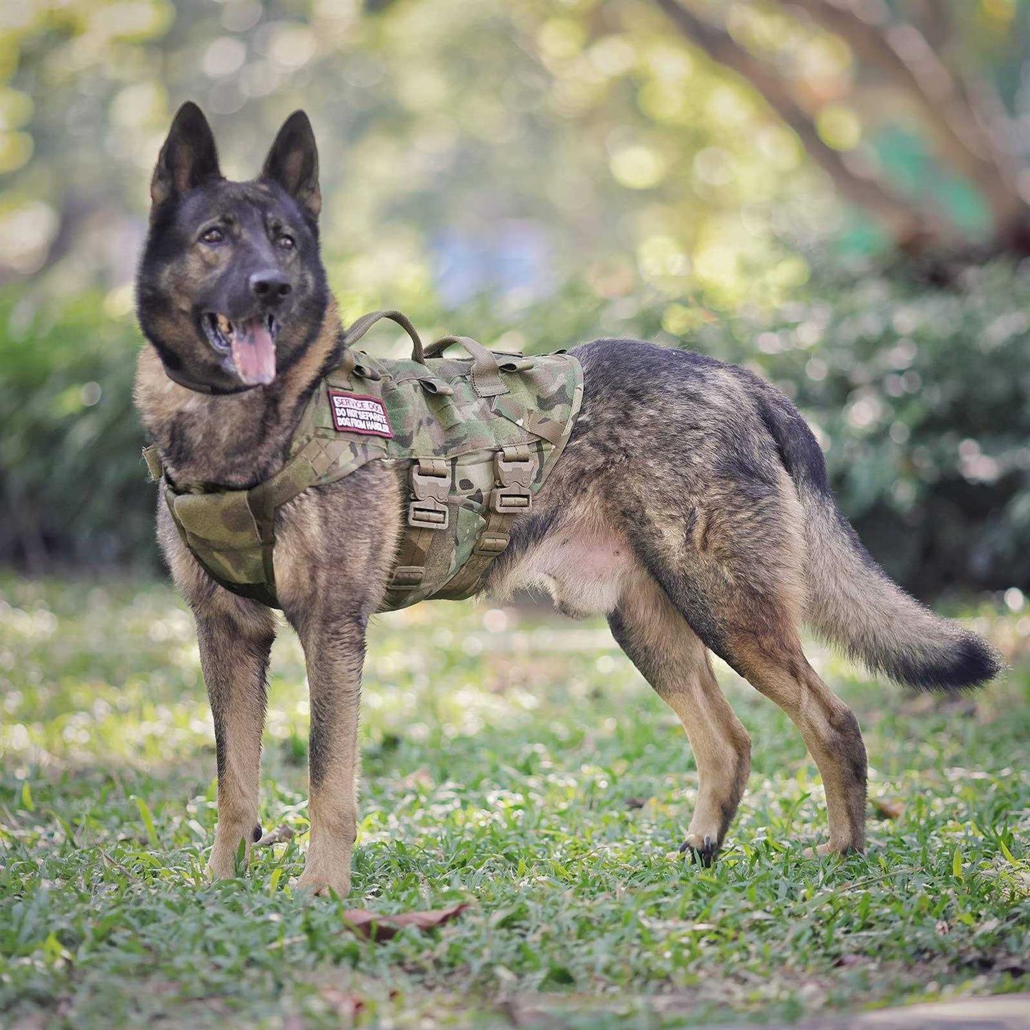 PETAC GEAR Tactical Dog Harness K9 Dog Training Vest Adjustable Padded Police Service Dog Working MOLLE Vests for Large Medium Dogs Mals GSD Lab - Healthber