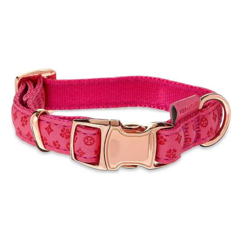 Vibrant Life Embossed Adjustable Dog Collar - Healthber