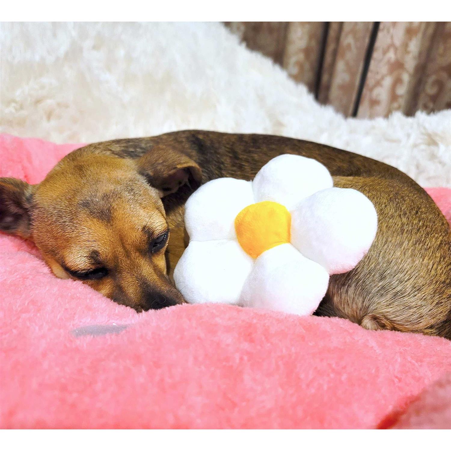 TONBO Soft Plush Small Cute and Cozy Food Dog Cat Bed, Washer and Dryer Friendly - Healthber