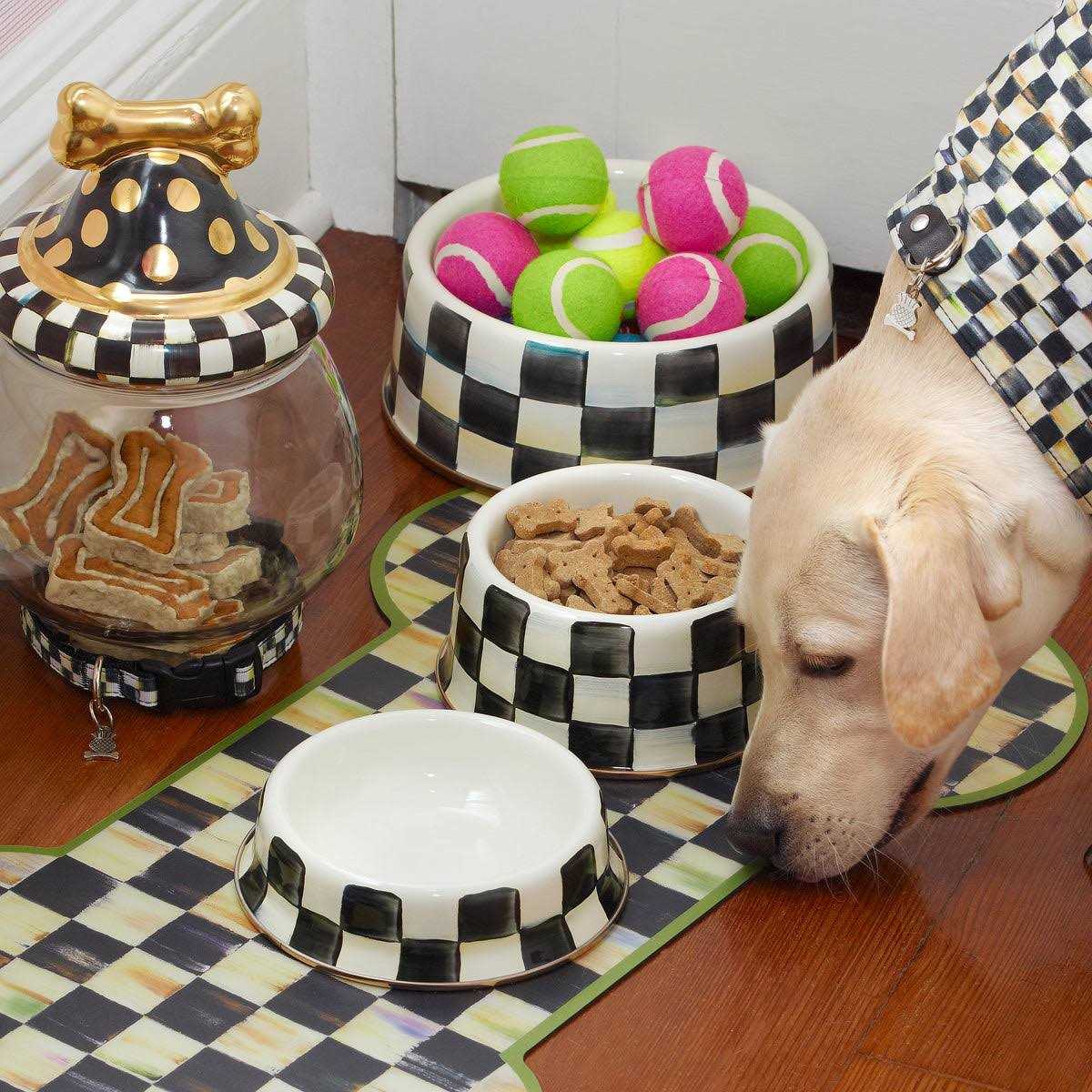 MacKenzie-Childs Check Pet Dish - Healthber