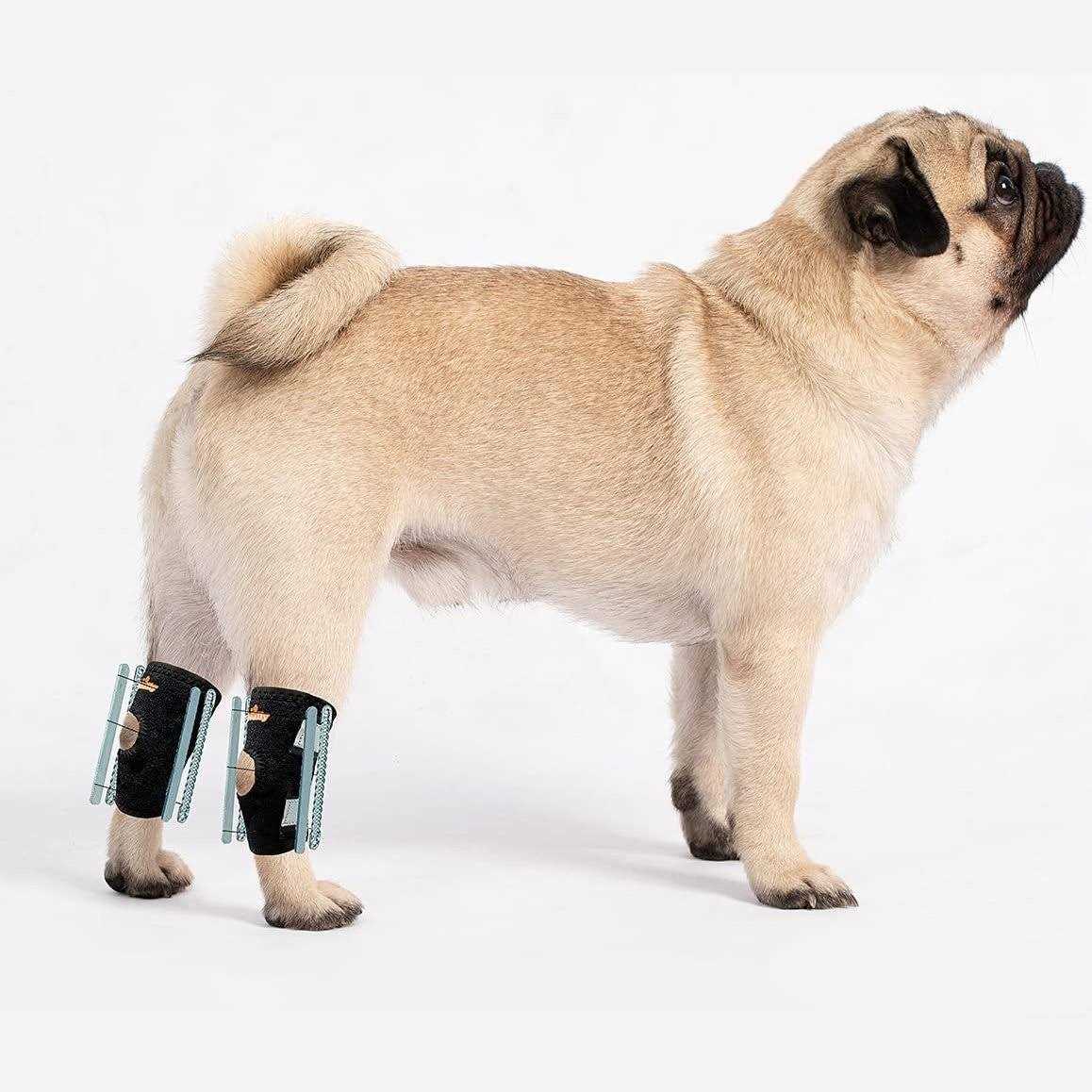 NeoAlly 3-in-1 Short Rear Leg Support Small Dog Splint Braces - Healthber