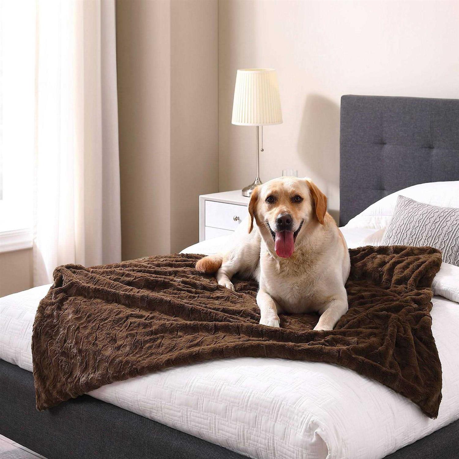 Best Friends by Sheri Calming Lux Fur Cat & Dog Blanket - Healthber