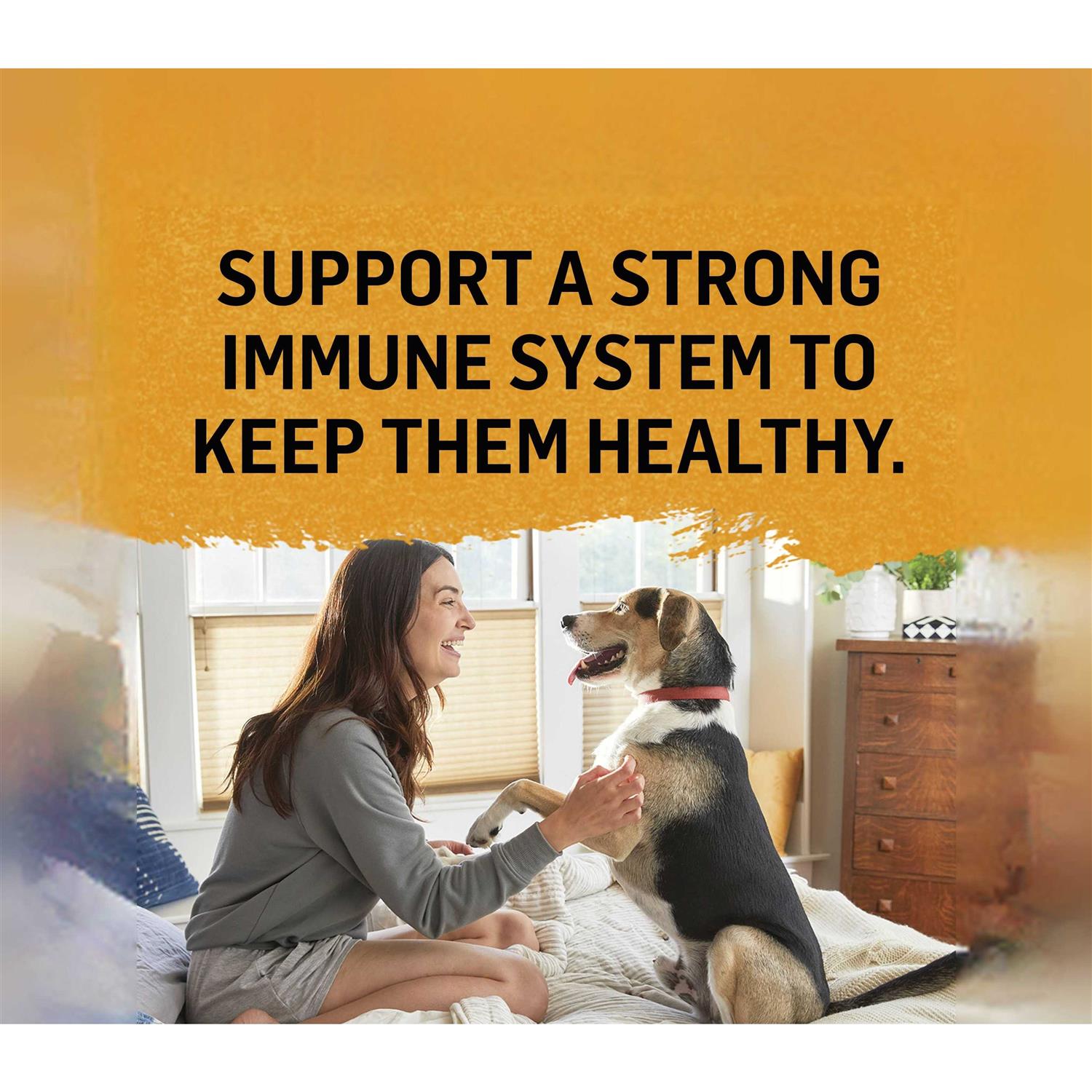 Purina Beyond Wet Cat Food Natural Chicken Bone Broth - Healthber