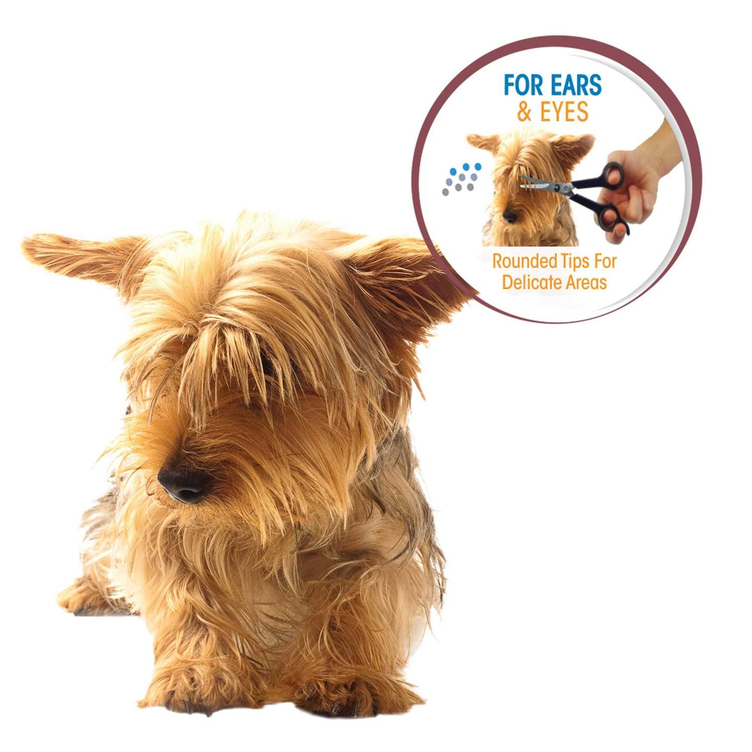 Four Paws Magic Coat Ear and Eye Scissors - Healthber