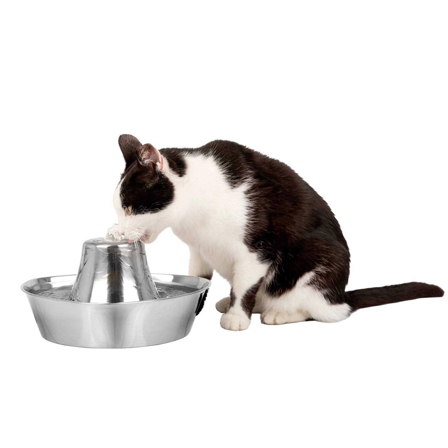 PetSafe Seaside Stainless Pet Fountain - Healthber