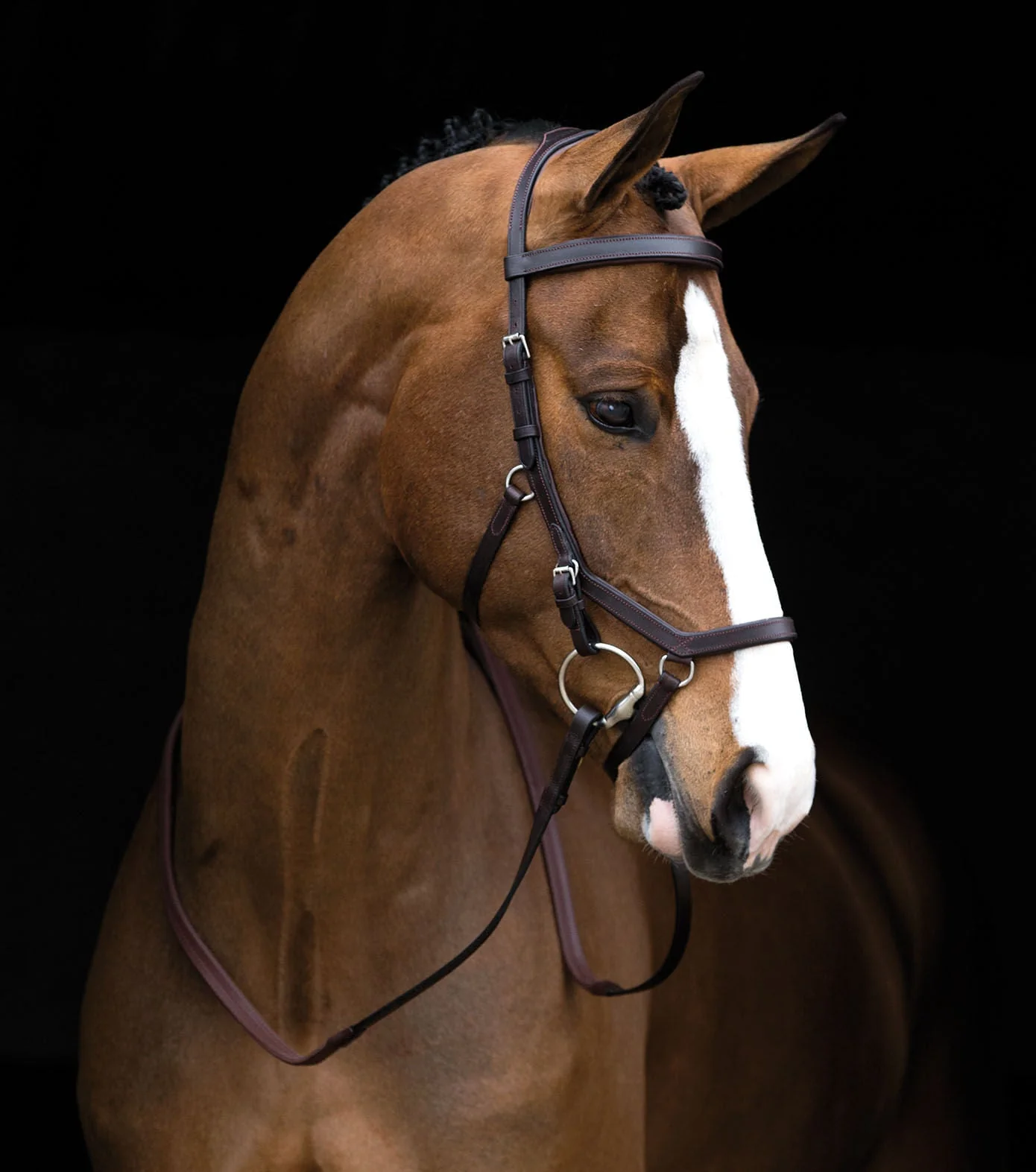 Rambo Micklem Competition Bridle, Dark Havana - Healthber