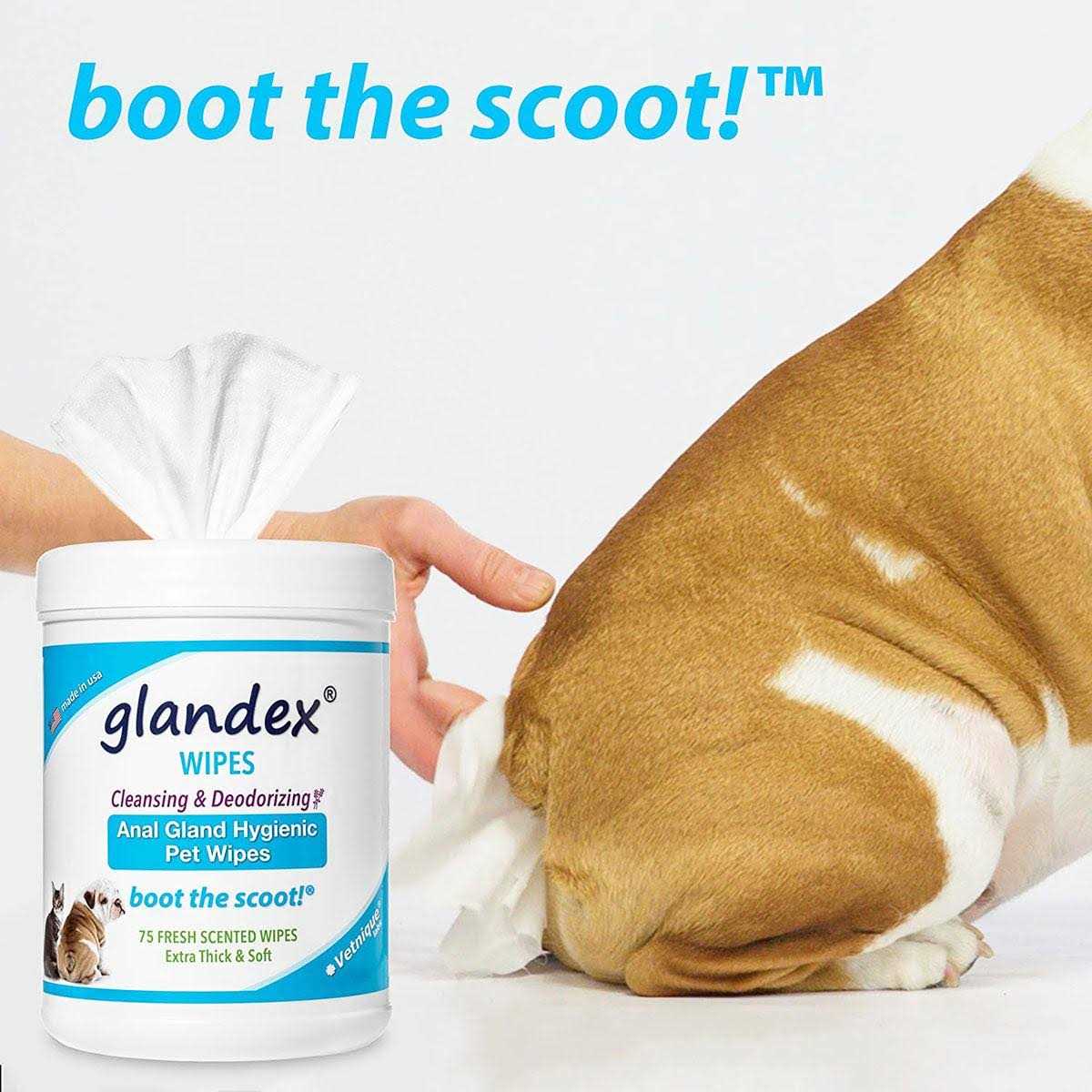 Glandex Anal Gland Hygienic Pet Wipes - Healthber