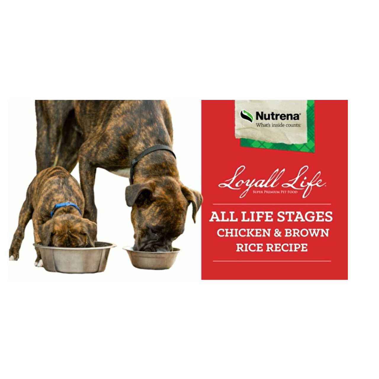 Loyall Life All Life Stages Chicken Brown Rice Dog Food - Healthber