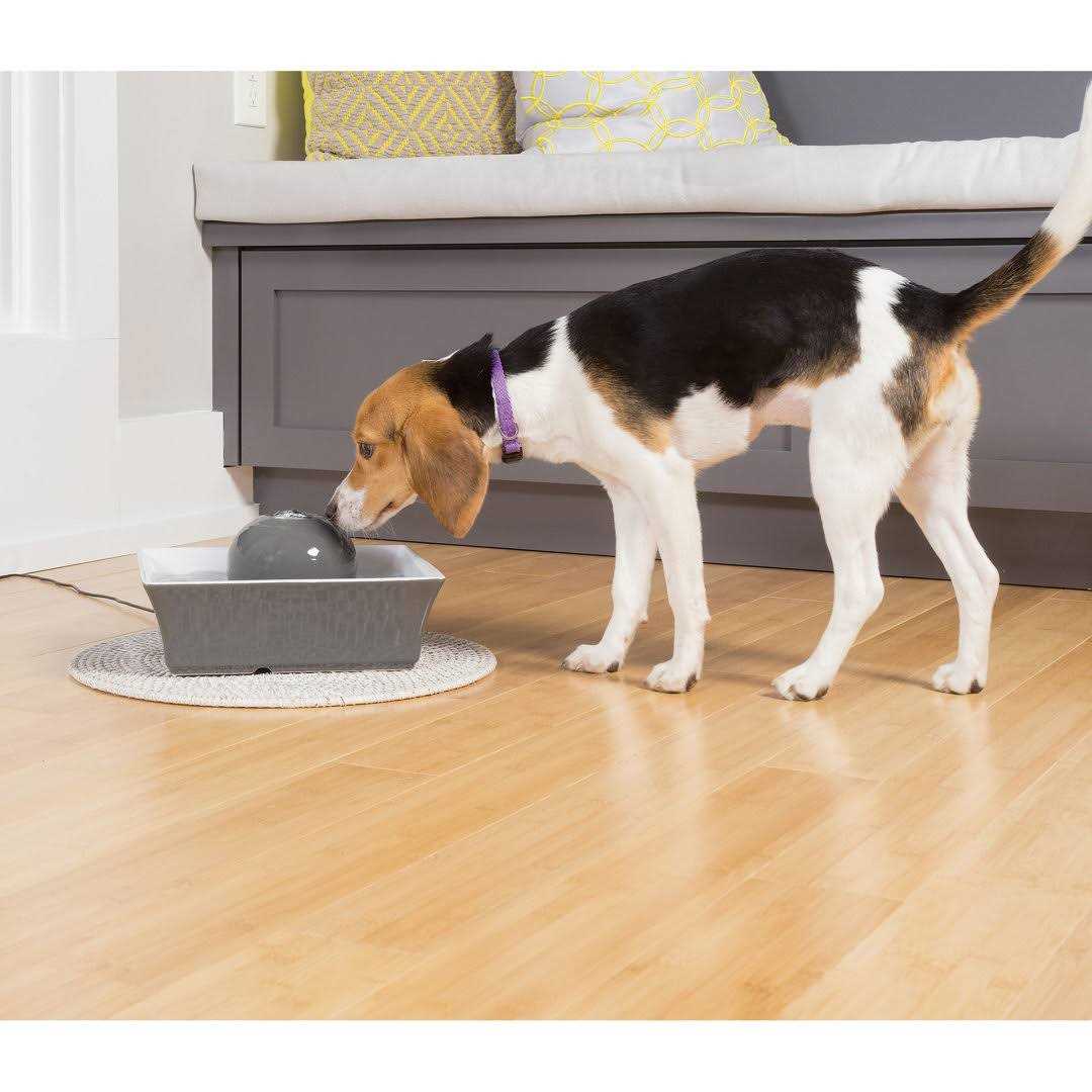 PetSafe Drinkwell Seascape Pet Fountain - Healthber