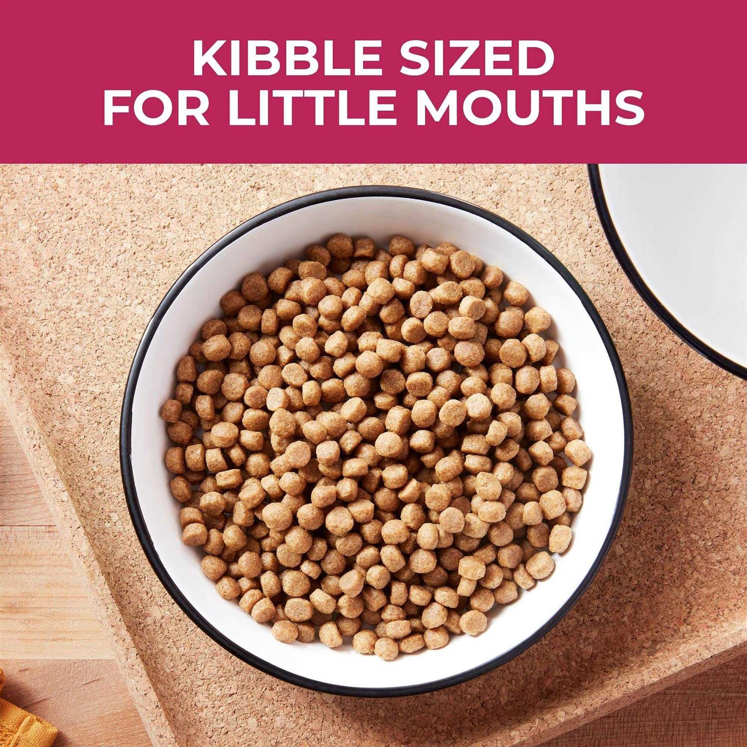 Nature’s Recipe Recipe Small Bites Dry Dog Food - Healthber