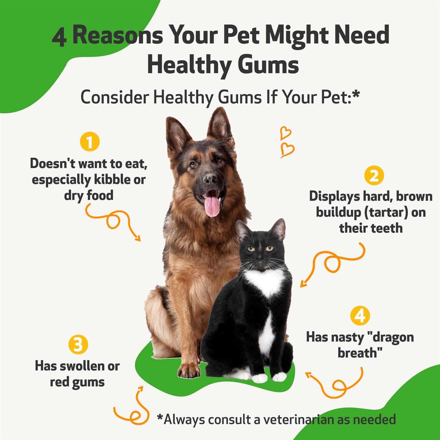 Pet Wellbeing Healthy Gums for Feline Periodontal Health - Healthber