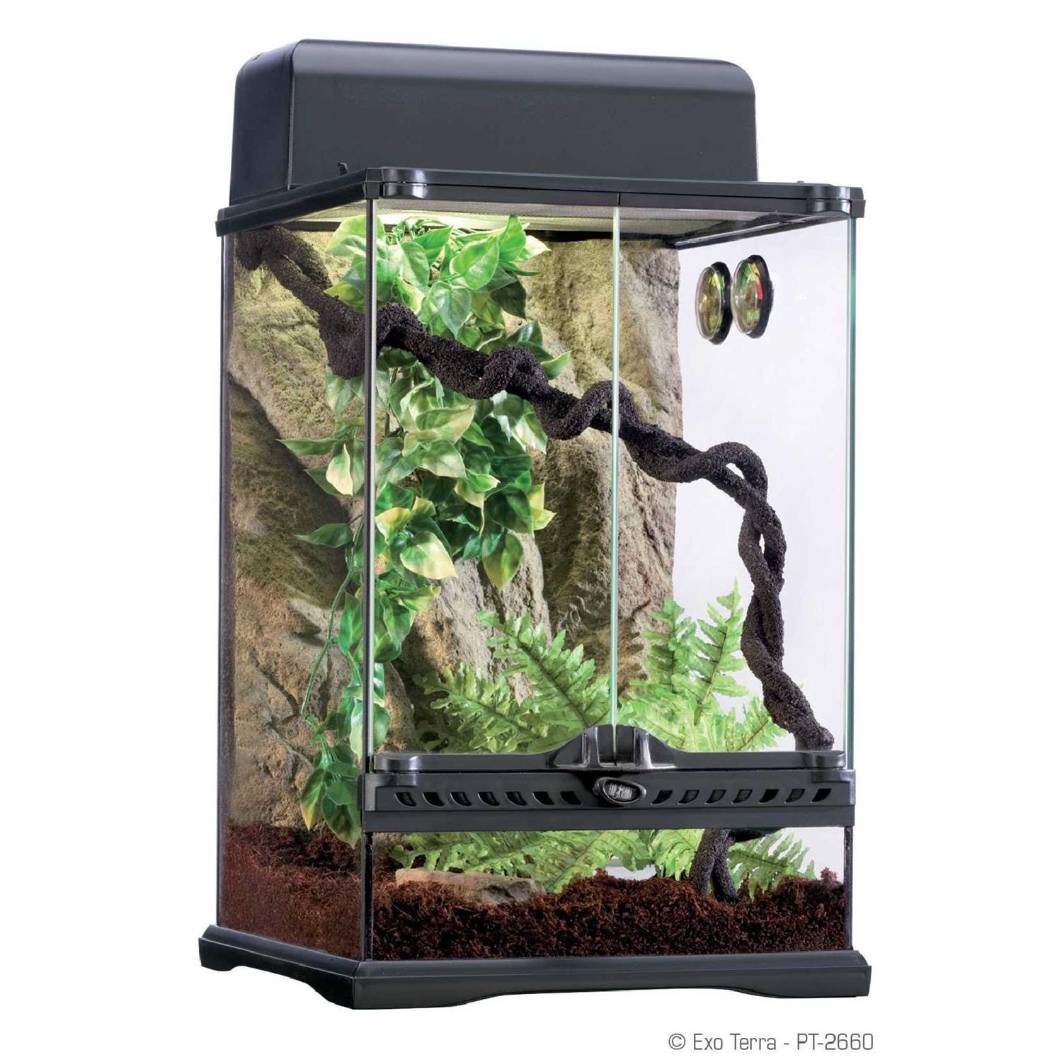 Exo Terra Rainforest Habitat Kit - Healthber